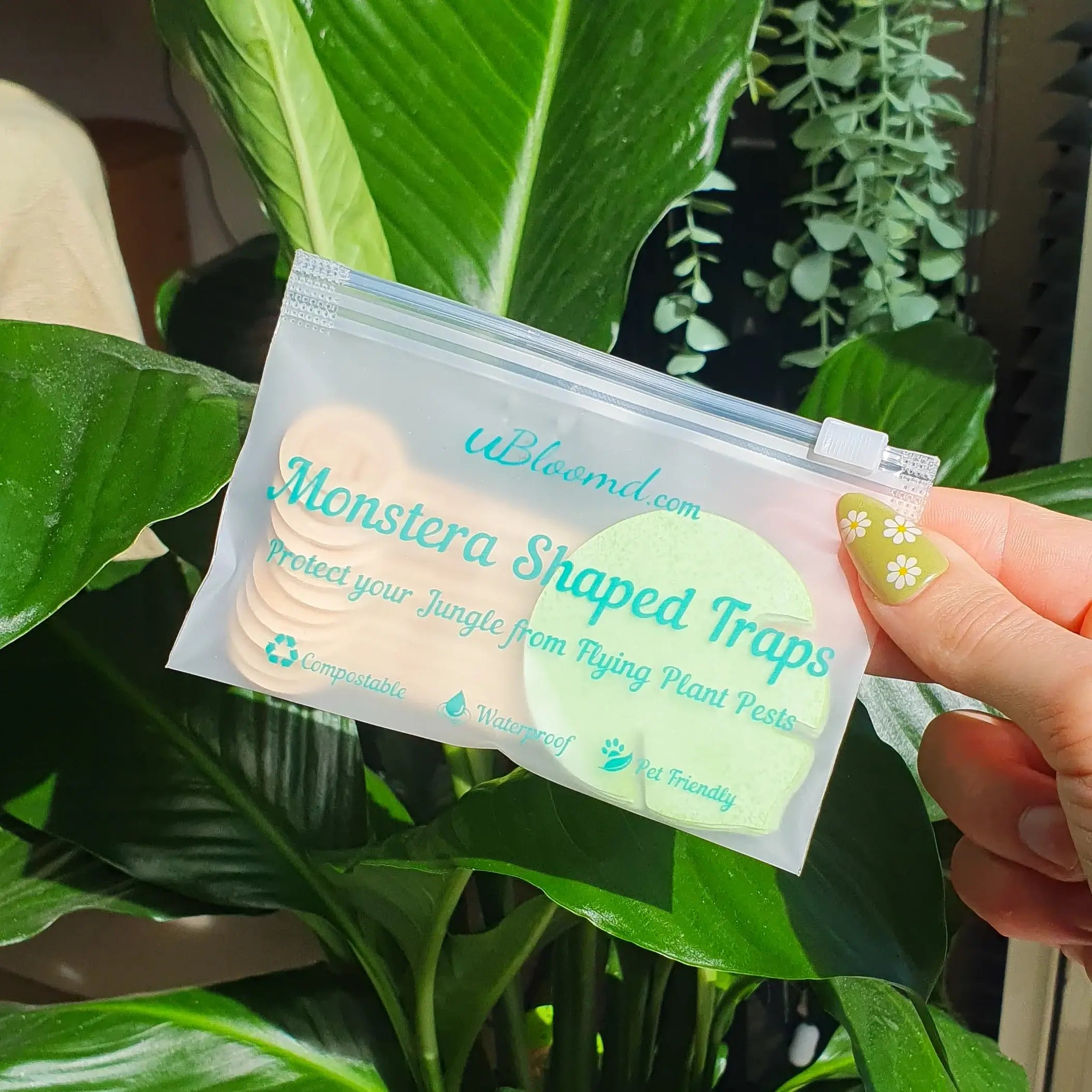 Pack of monstera leaf shaped sticky gnat traps by Unbloomd