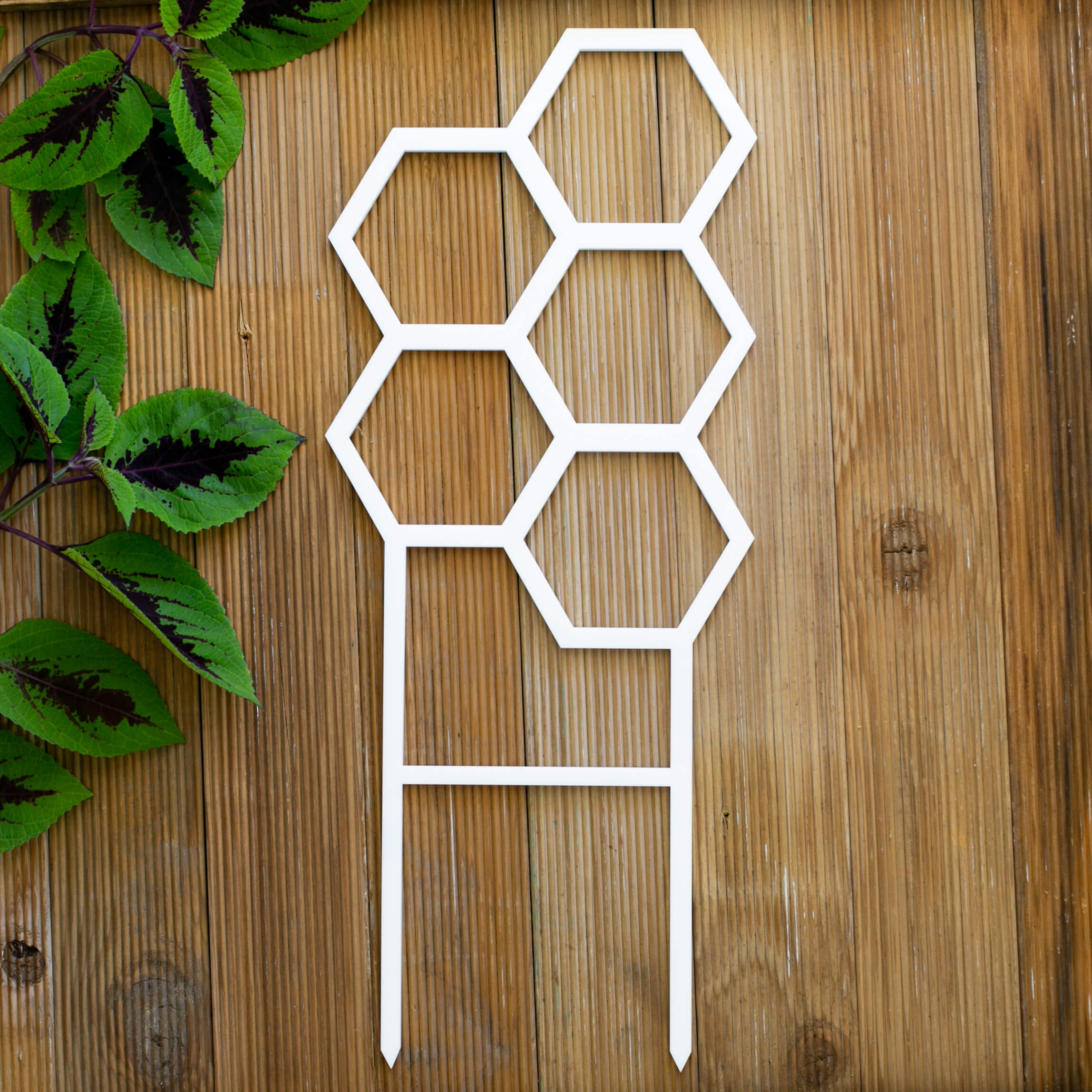 Hive plant trellis in white acrylic flat lay