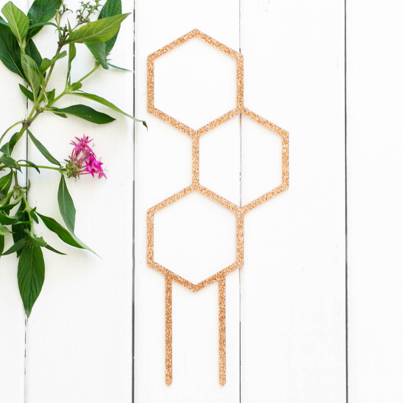 Pollen – Mid sized Leaf Plant Support with Hexagon Openings