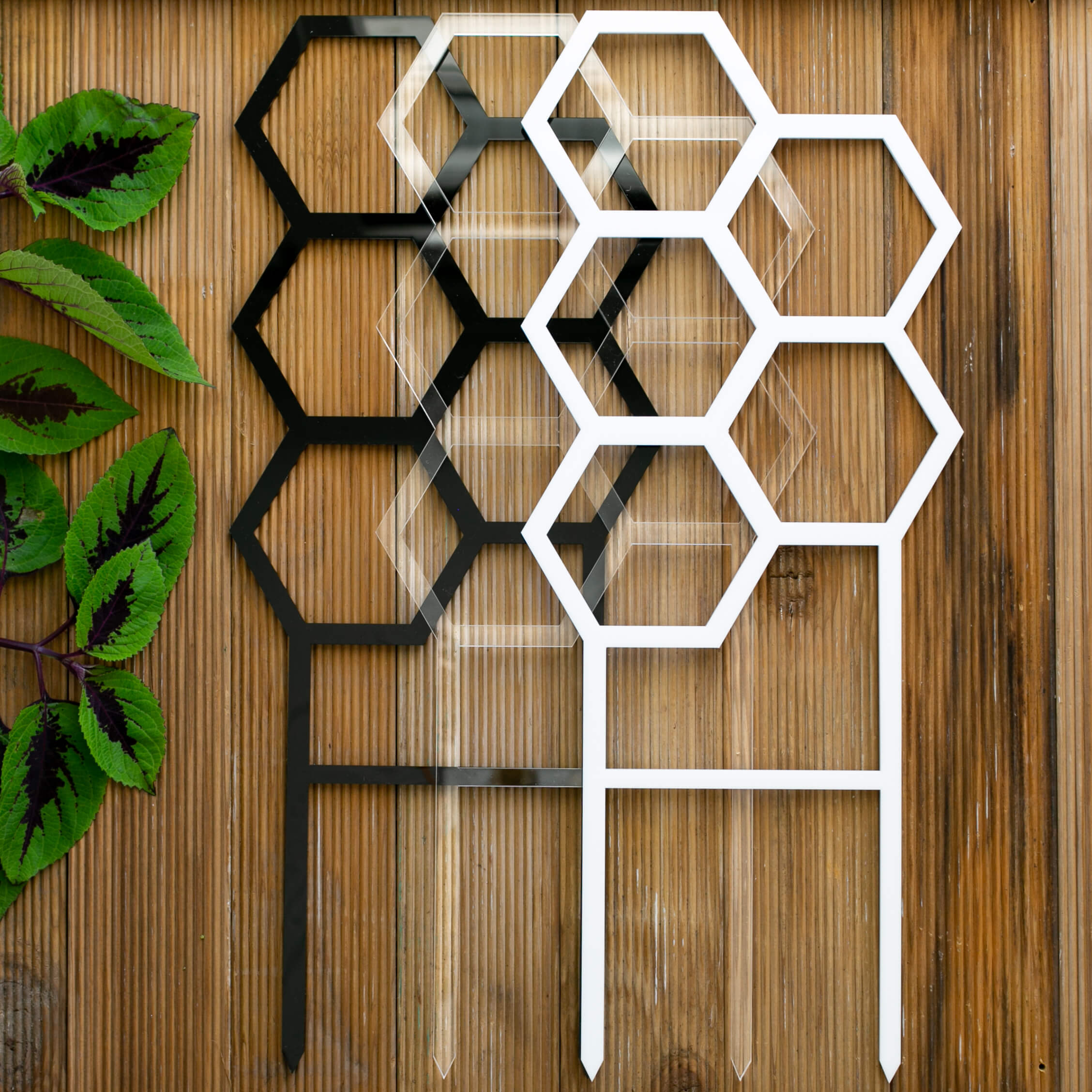 Hive plant trellis in assorted colours displayed together