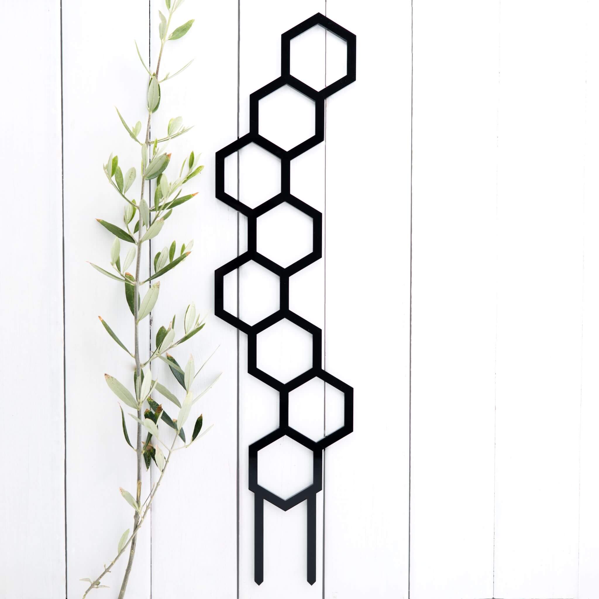 Bee stalk tall trellis in black acrylic flat lay