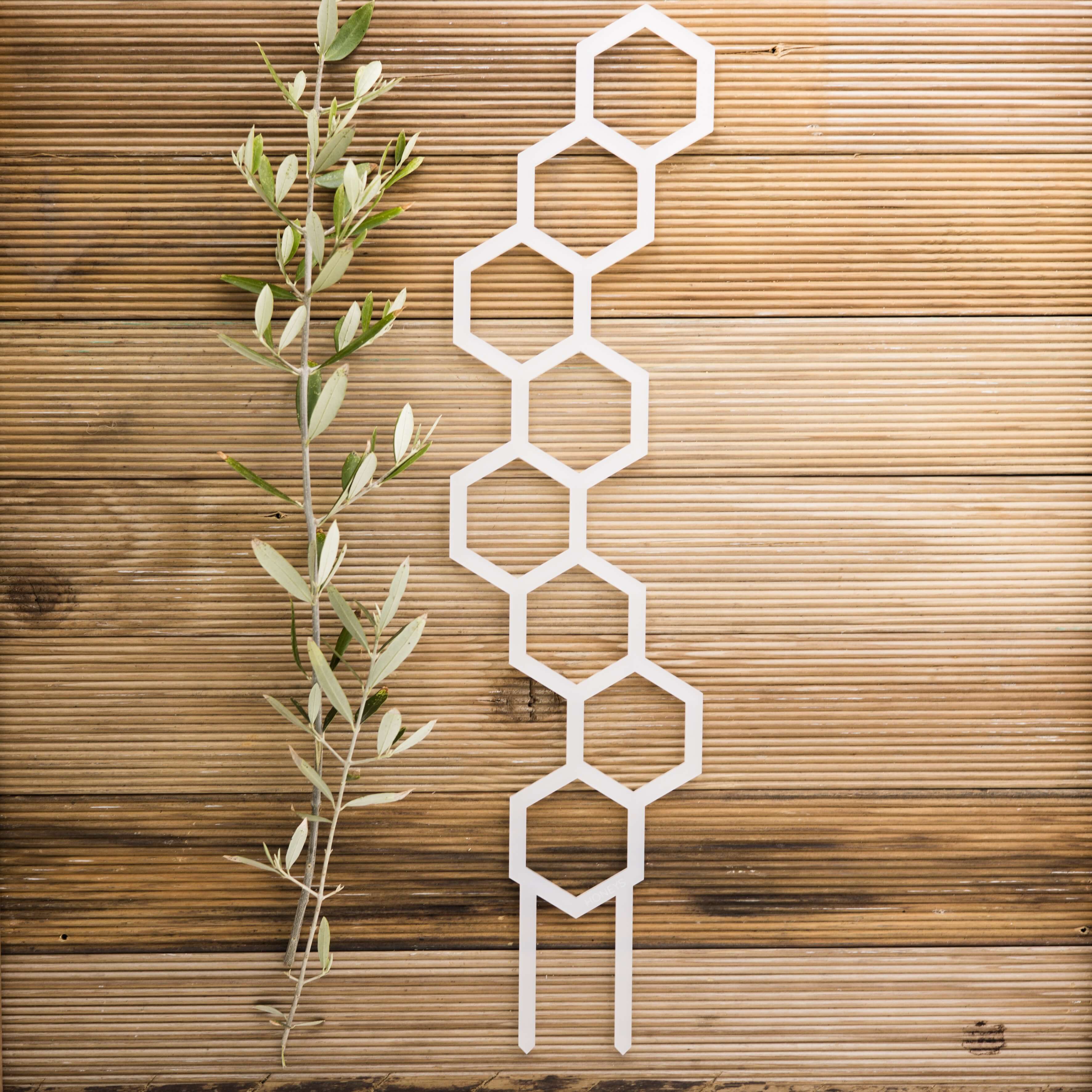 Bee stalk tall trellis in white acrylic flat lay