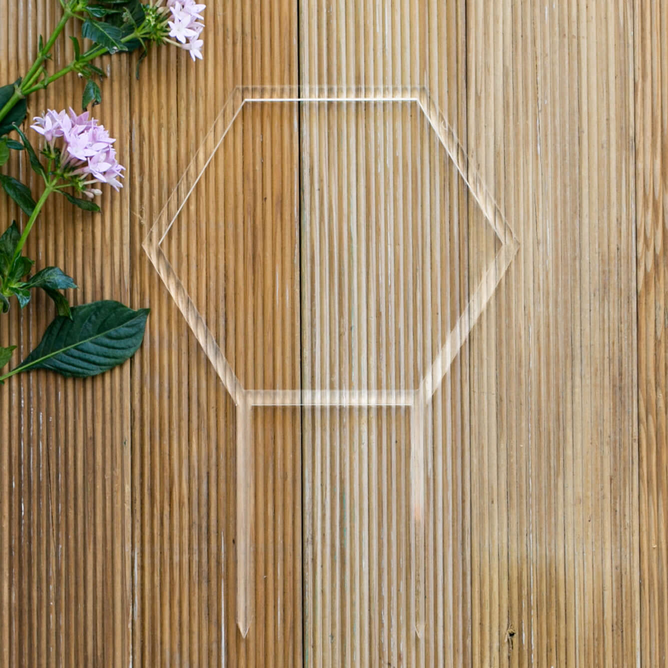 Bumbledore – Circular Wreath Plant Climber for Hoyas & Trailers