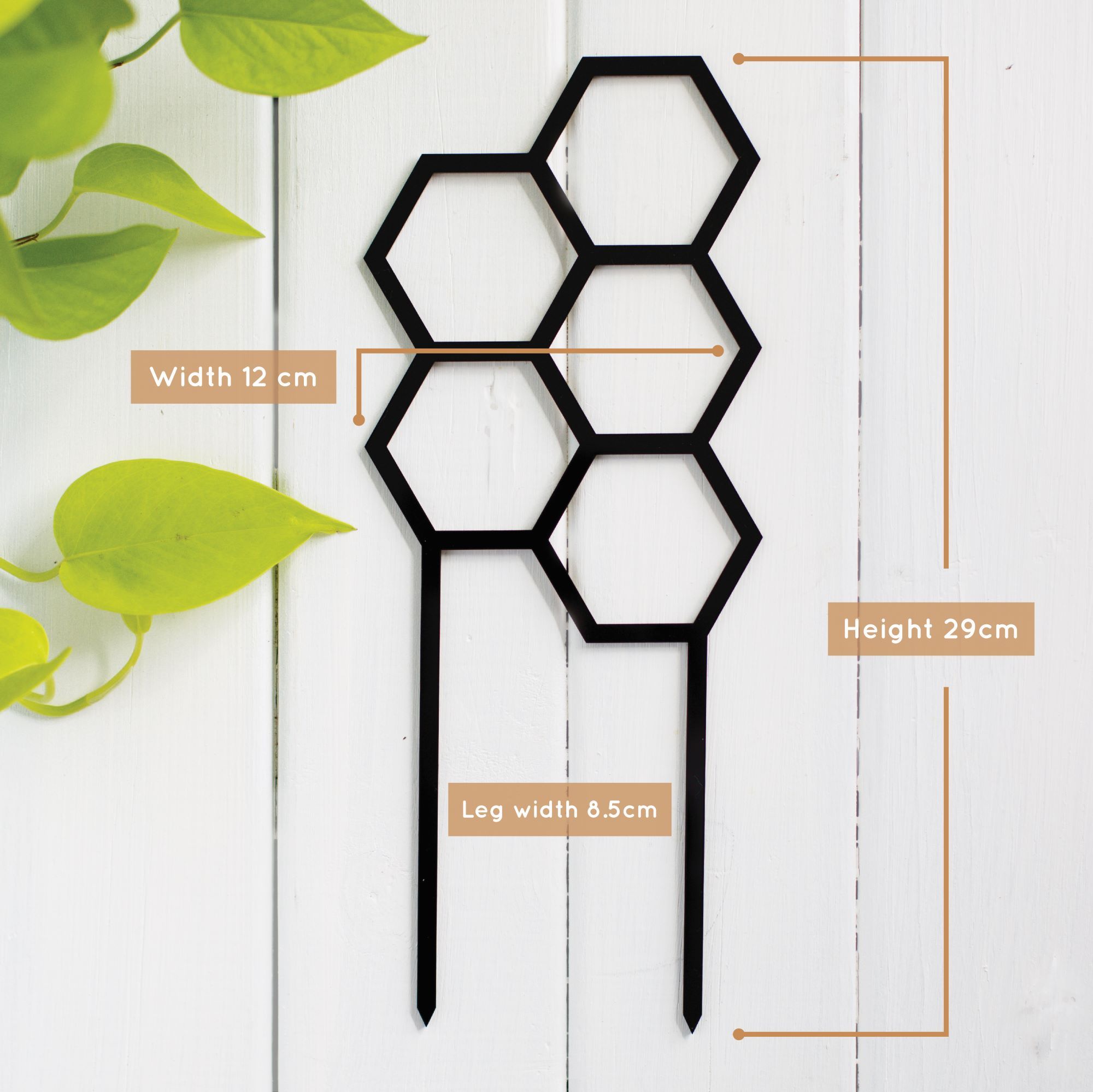 Hex – Modern Geometric Plant Climber for Indoor Plants