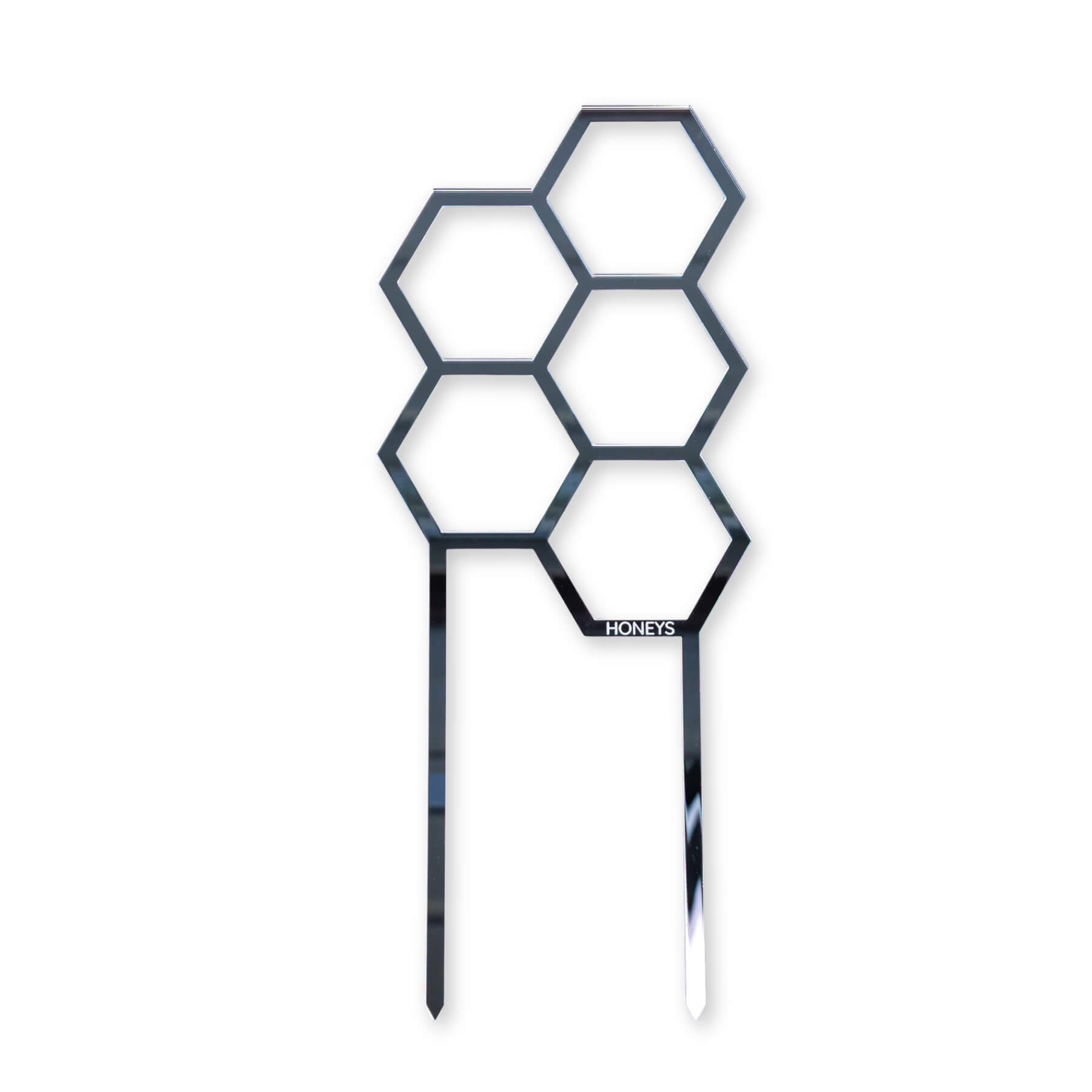 Hex Medium Sized Plant Climber in Silver Mirror Acrylic flat lay