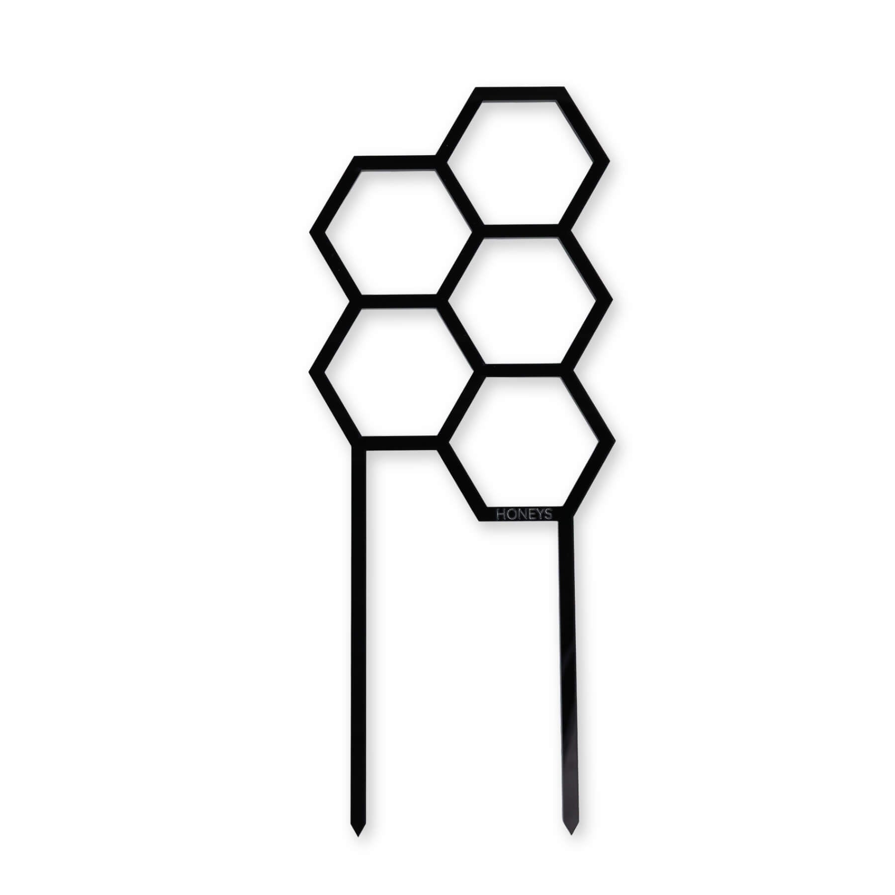 Hex Medium Sized Plant Climber in Black Acrylic flat lay