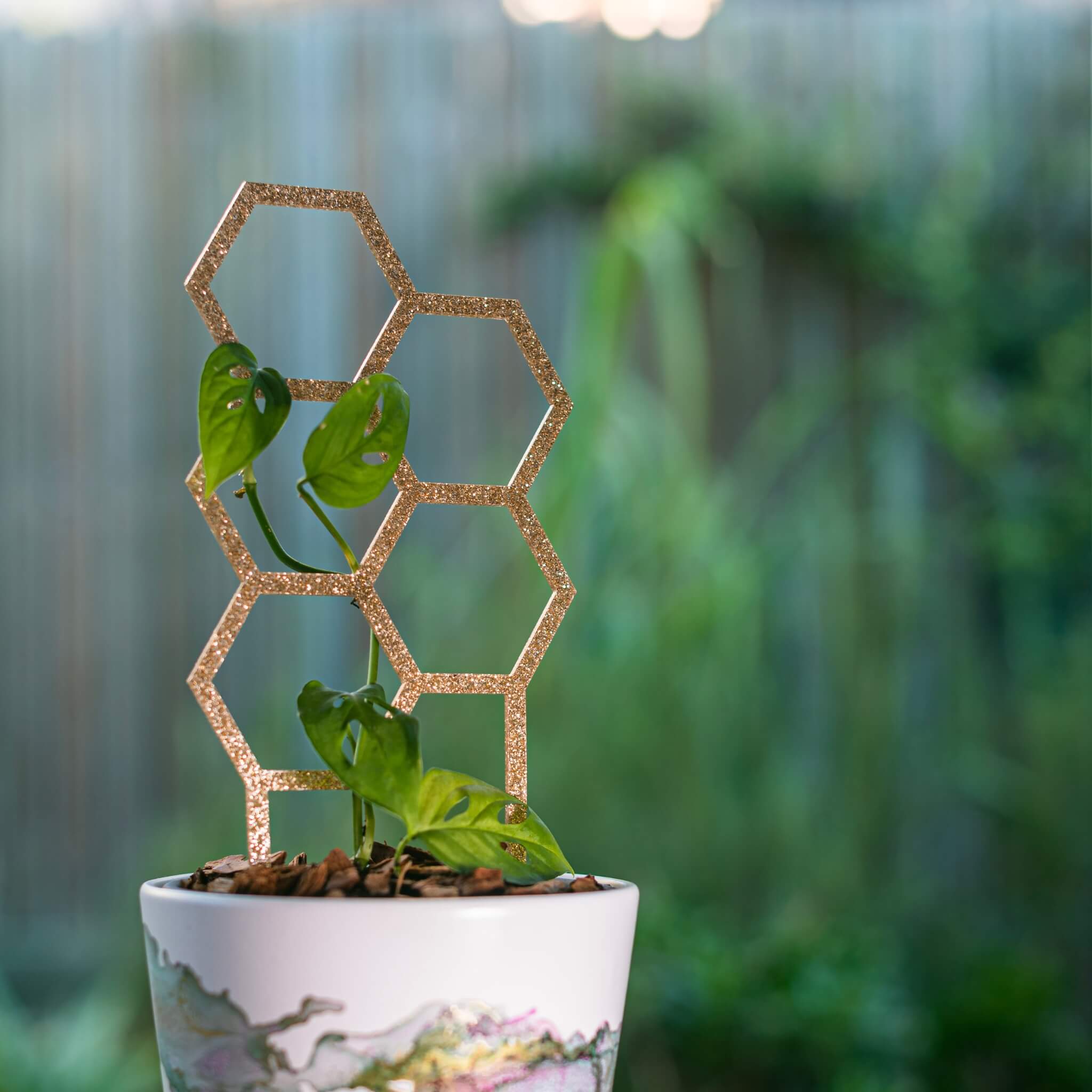 Hex Medium Sized Plant Climber in Rose Gold Glitter supporting climbing plant in pot