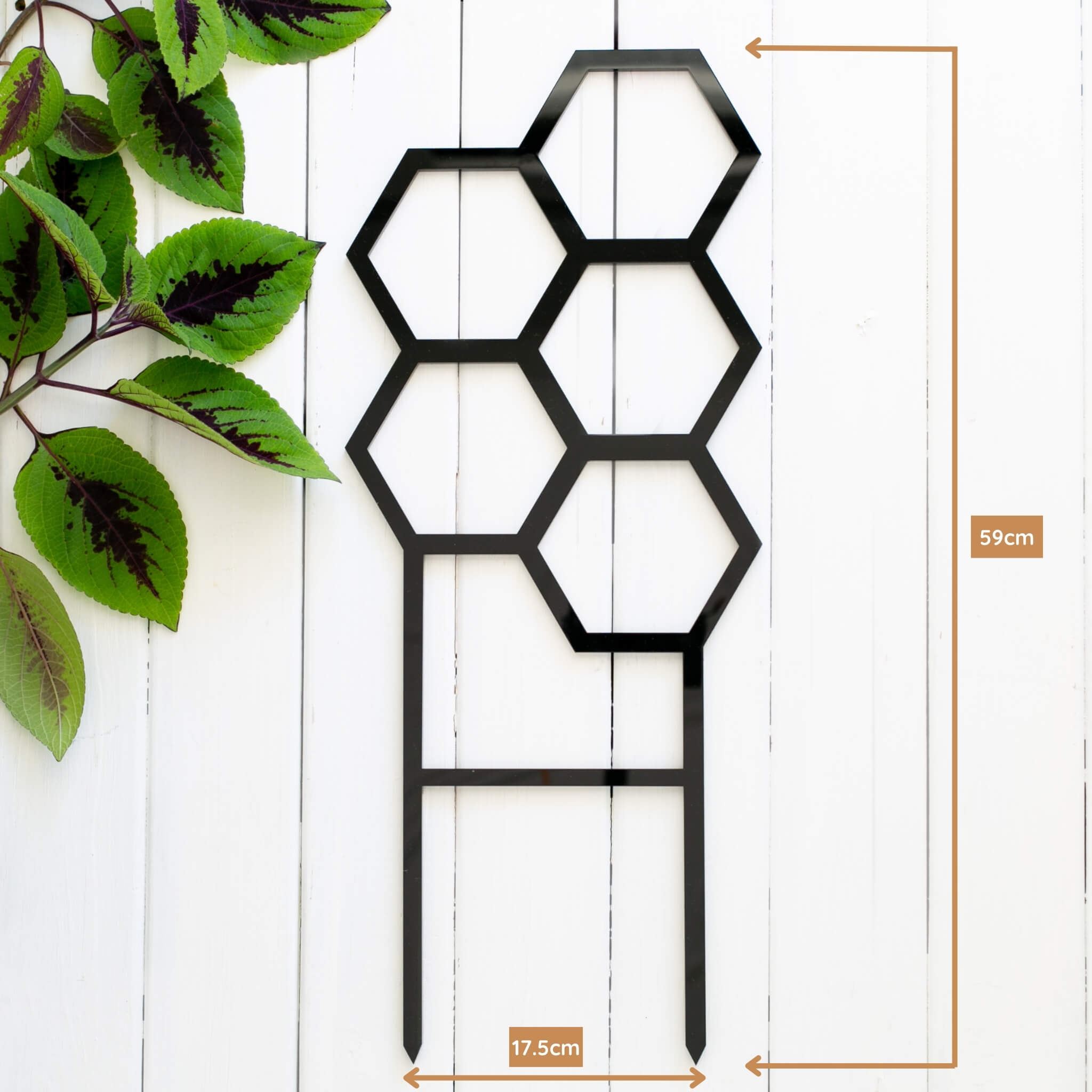 Hive plant trellis in black acrylic measurements flat lay