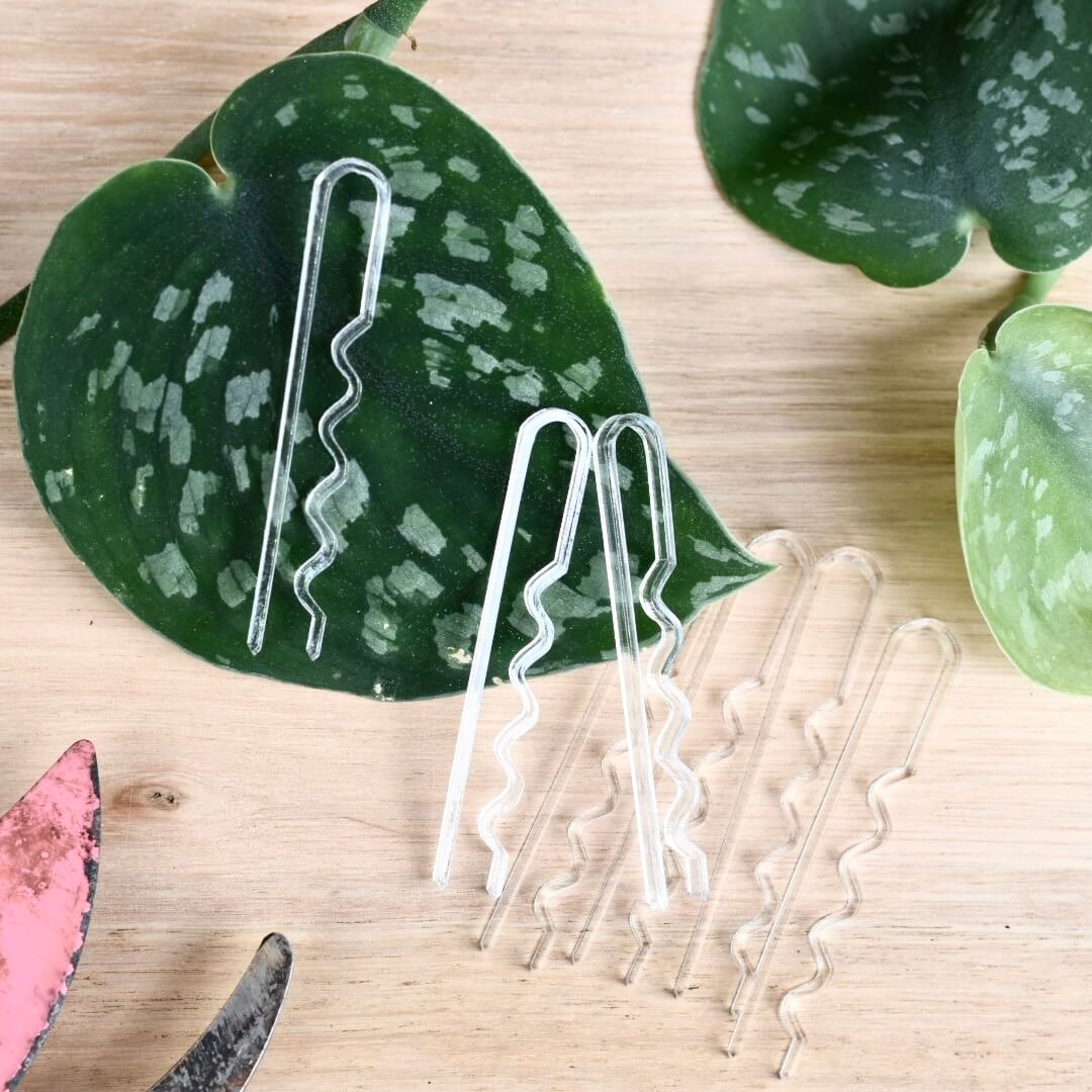 Node Pins - Propagation Pins for Cuttings & Stem Anchoring (10 Pack)