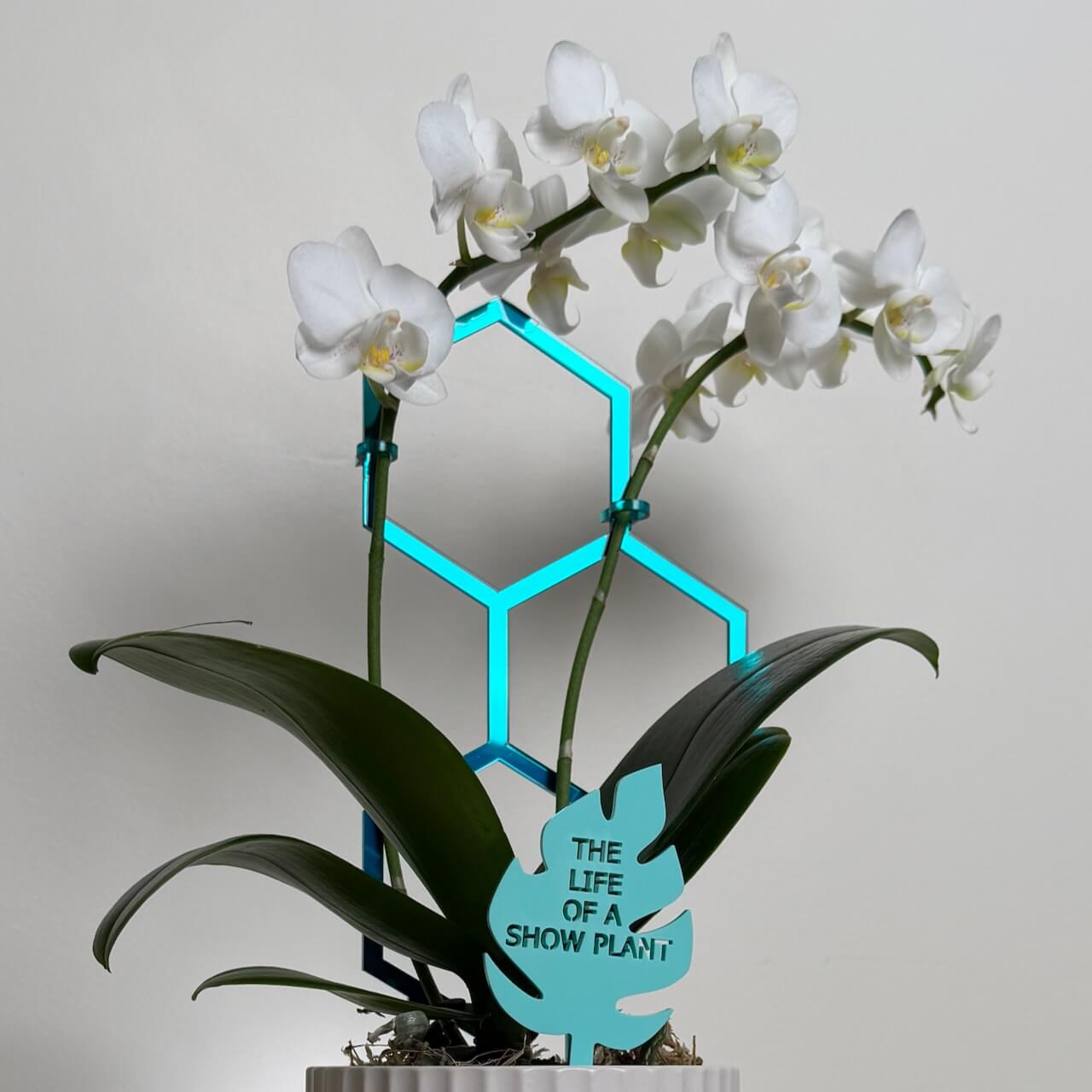 Plant Stake - In My Plant Era Collection (Monstera Leaf)