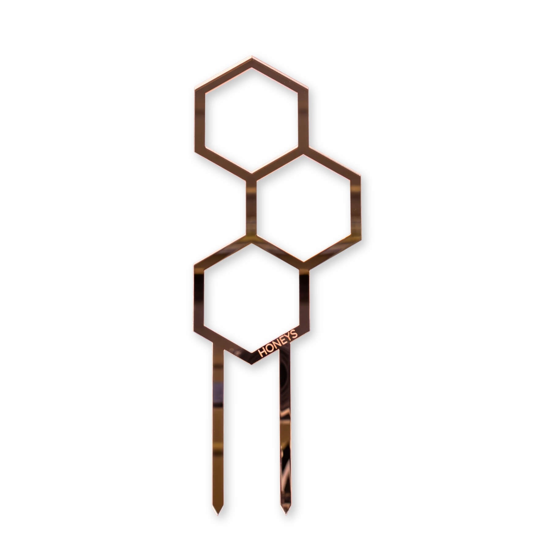 Mini Pollen Plant Propagation Trellis in Rose Gold Mirror Acrylic flat lay