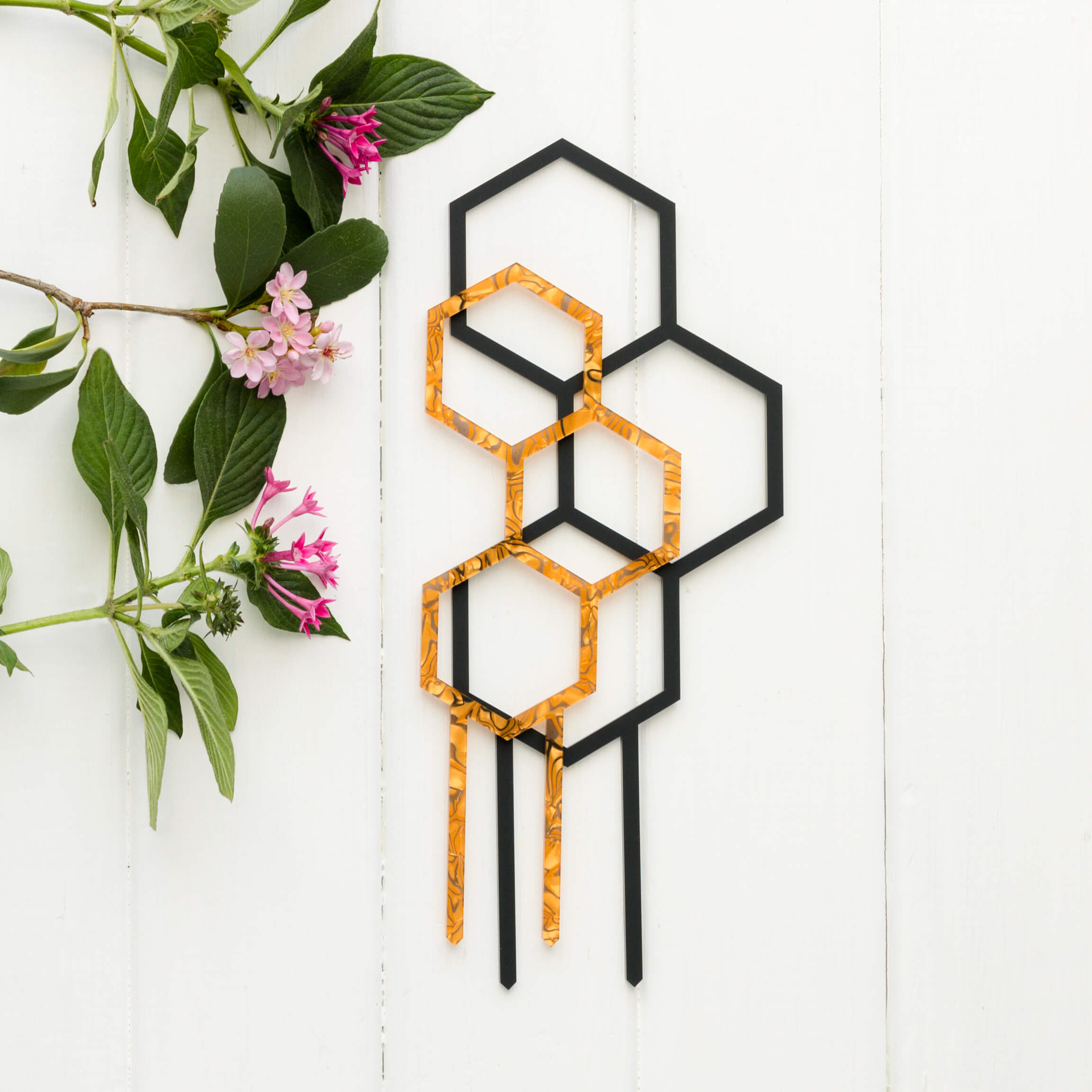 Pollen Gift Pack - Plant lover gift set, matching acrylic climbers for indoor plants