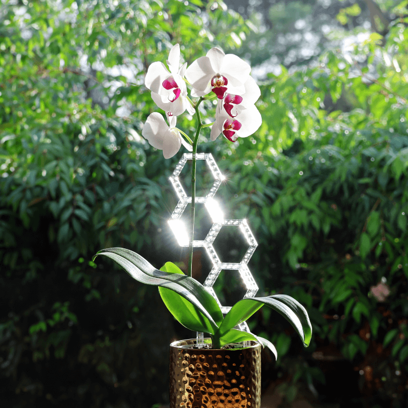 Vertigrow Starter Kit – Customisable Snap-Together Plant Trellis