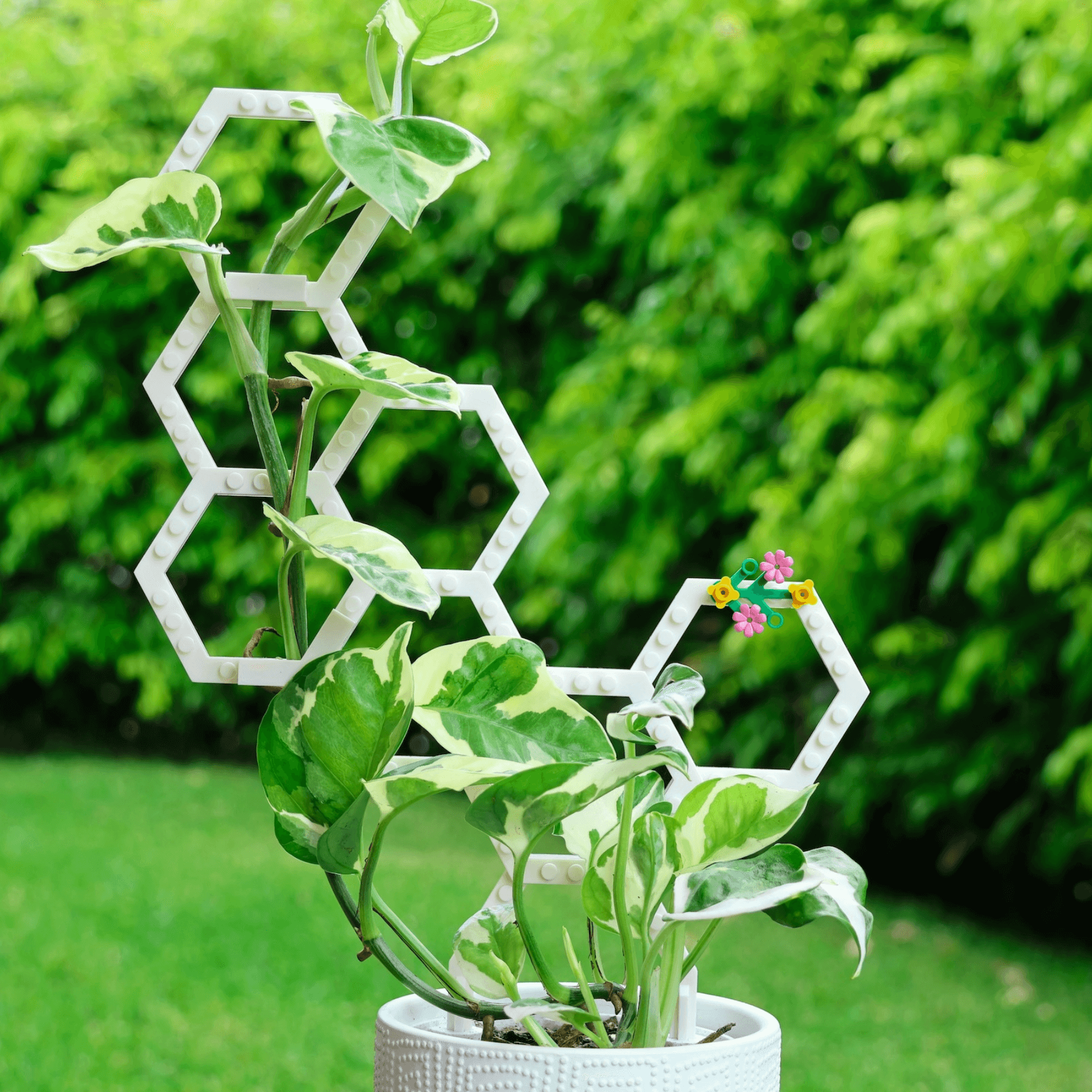 Close-up of Vertigrow Starter Kit Modular Plant Trellis in White showing finish detail
