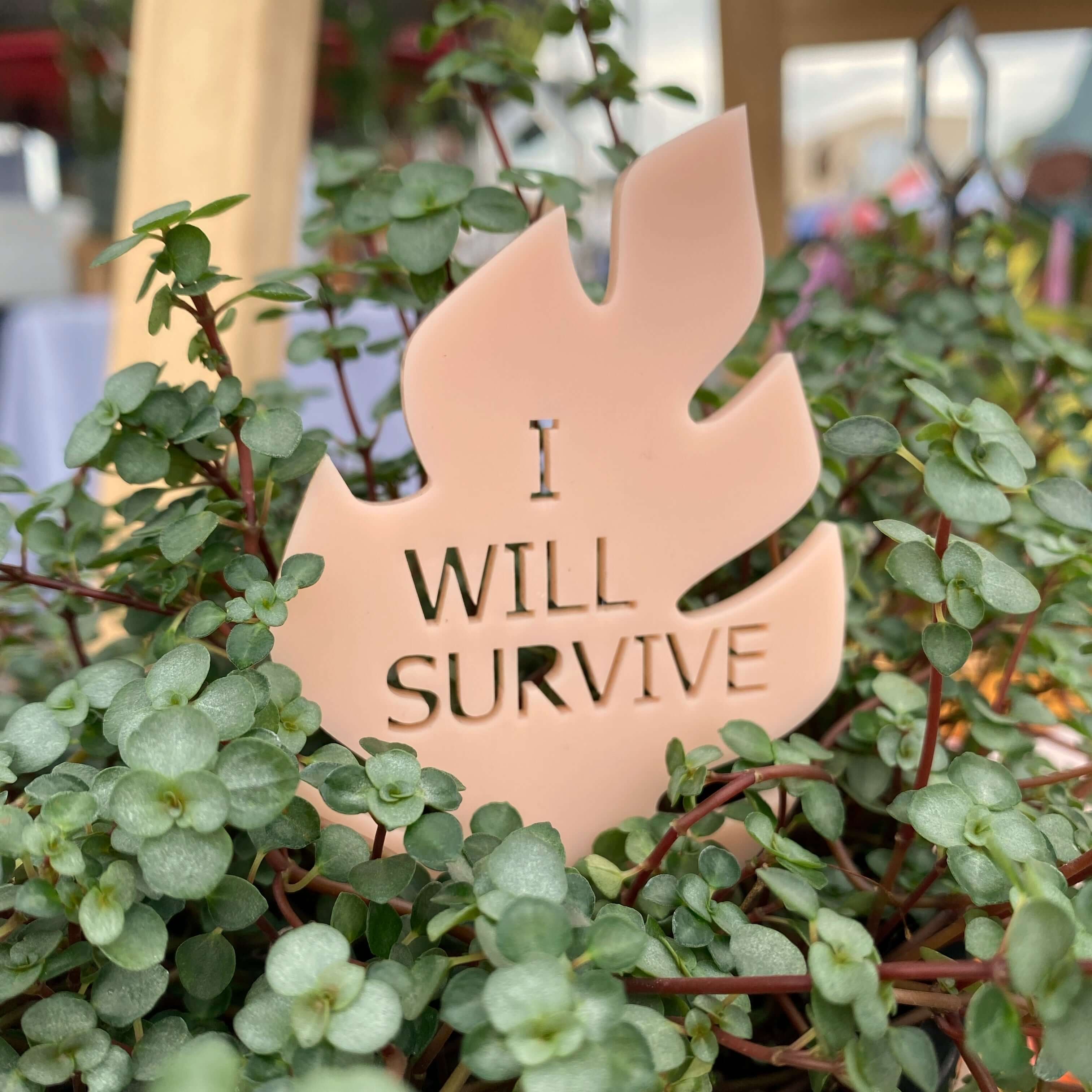 Plant Stake - Good, Clean Pun Collection (Monstera Leaf)