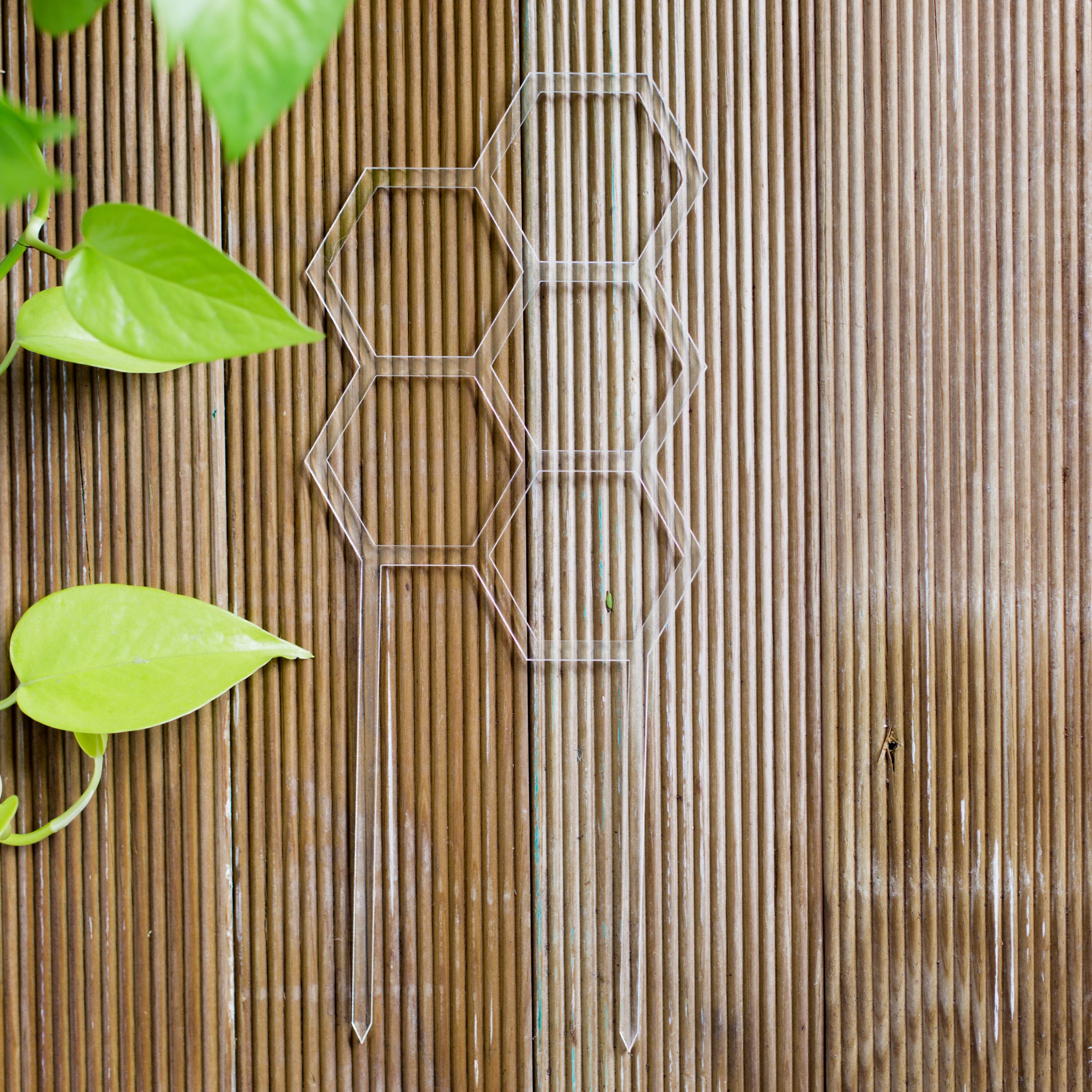 Hex Medium Sized Plant Climber in Clear Acrylic flat lay
