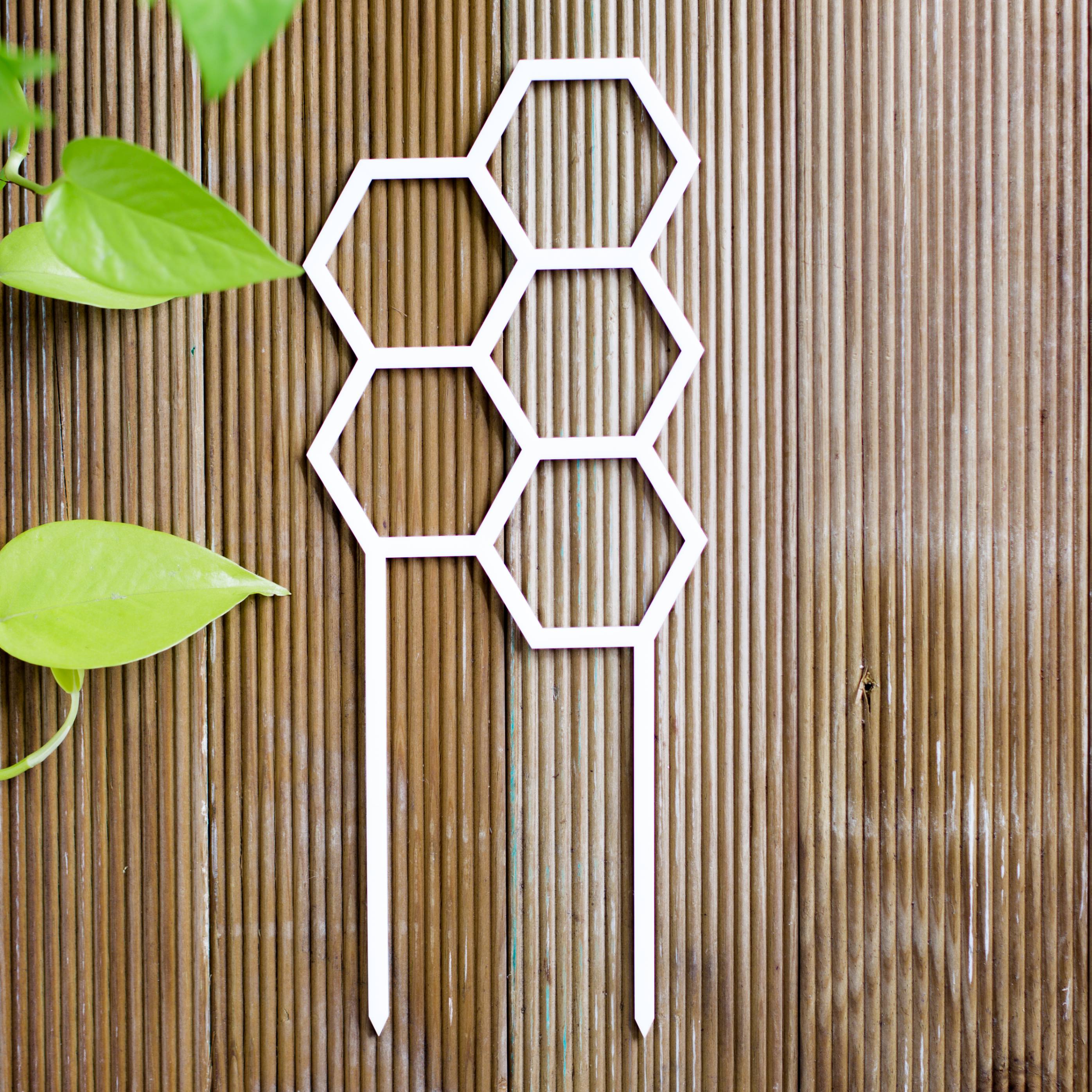 Hex Medium Sized Plant Climber in White Acrylic flat lay