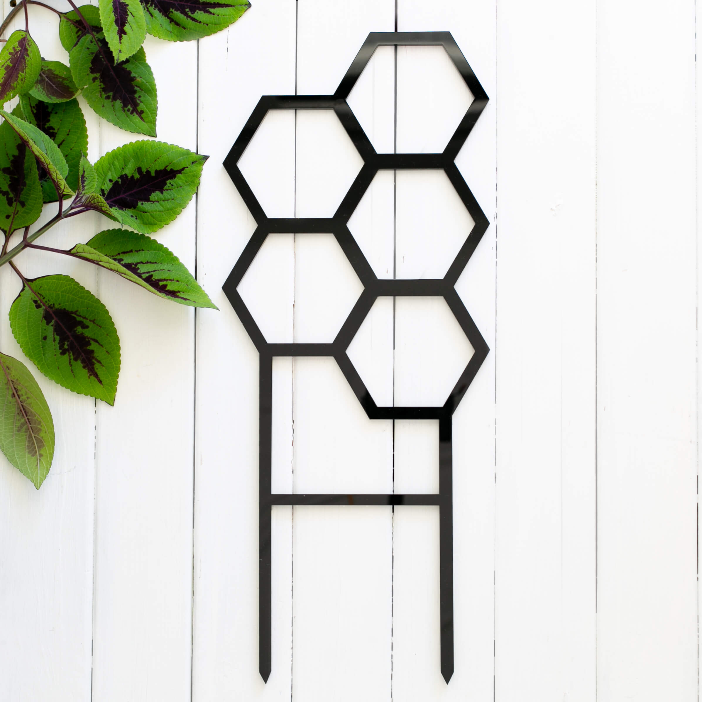 Hive – Extra-Wide Plant Climber for Large Pots