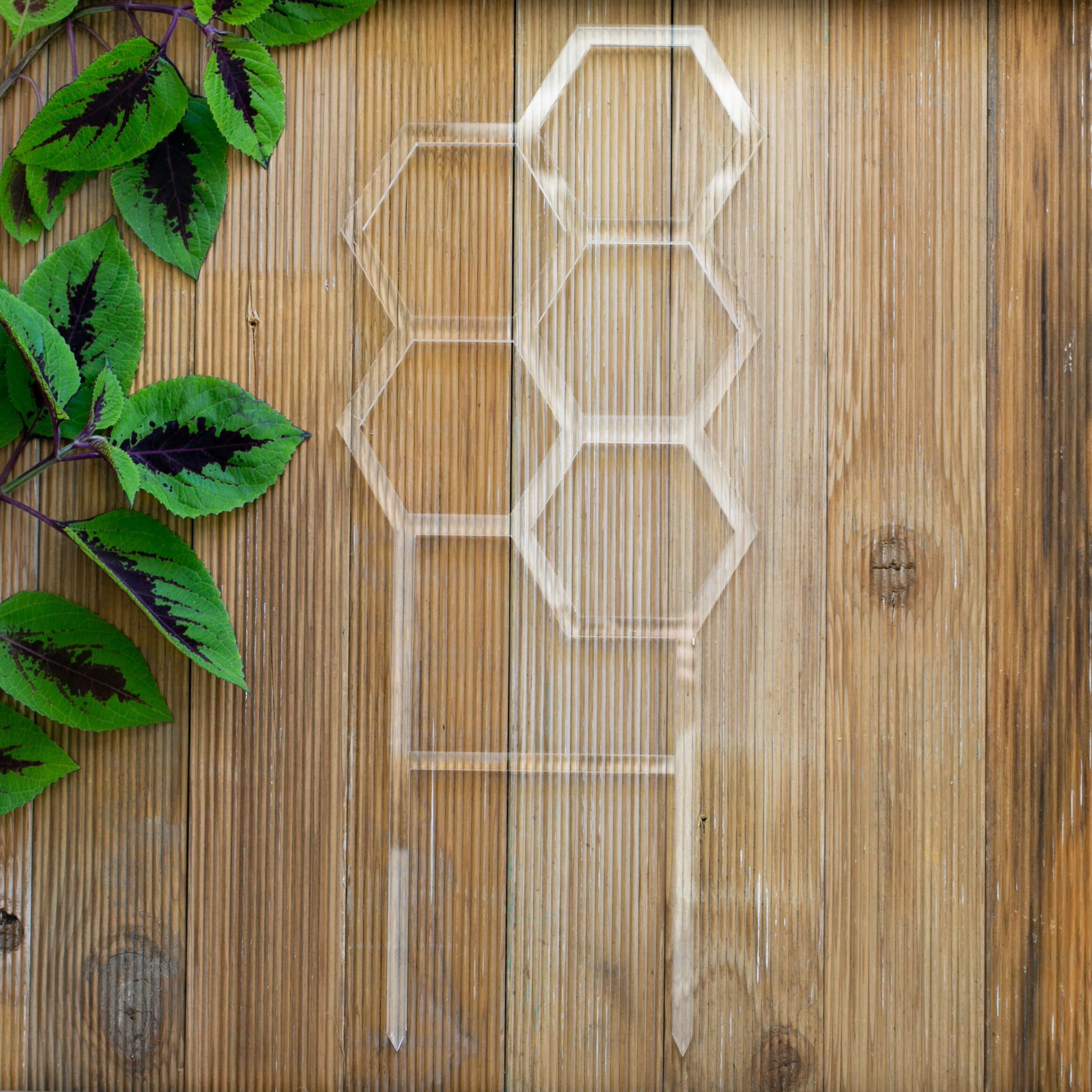 Hive plant trellis in clear acrylic flat lay