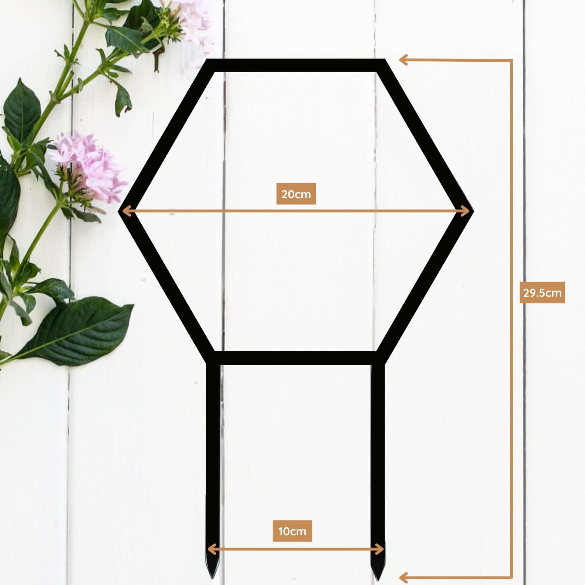 Bumbledore – Circular Wreath Plant Climber for Hoyas & Trailers