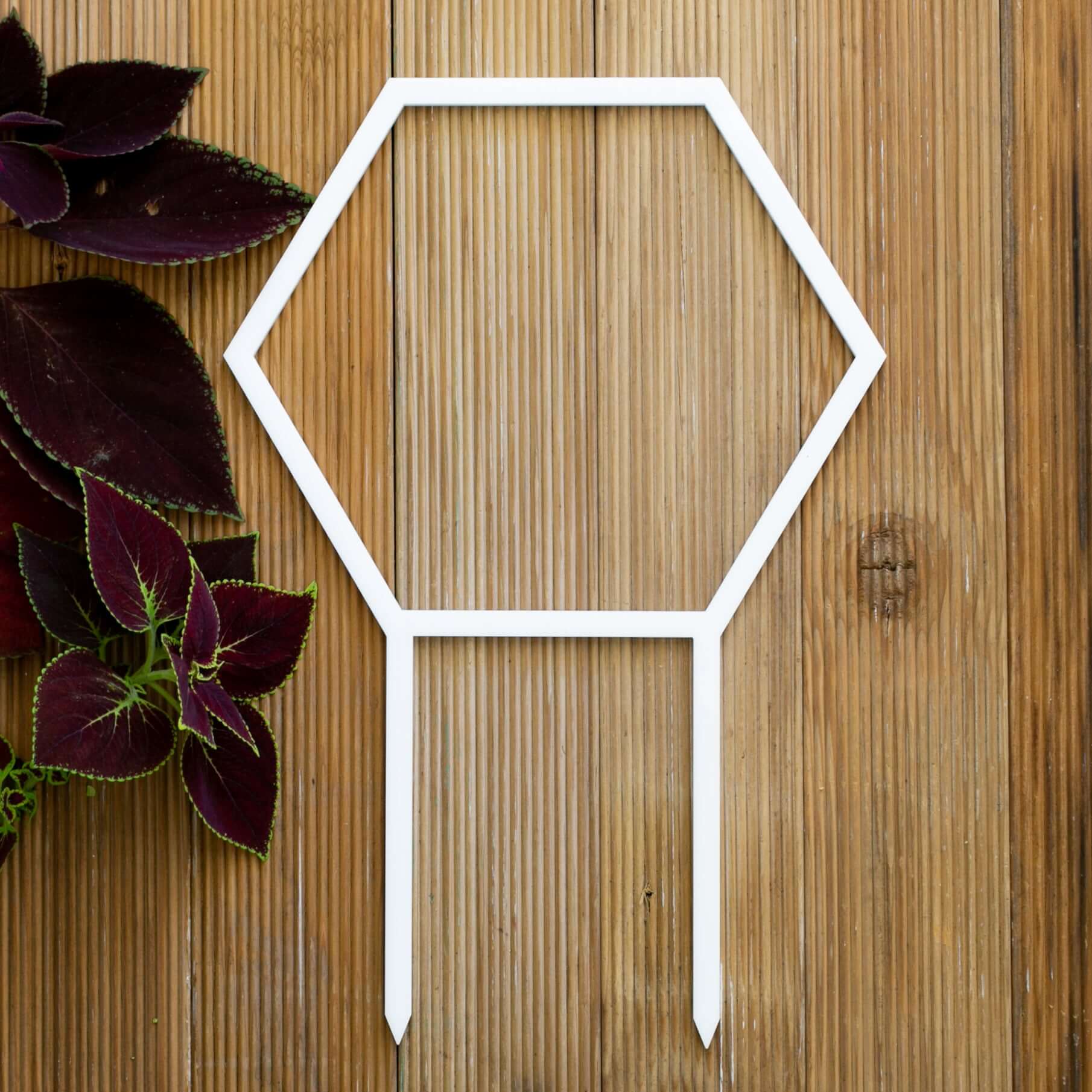 Bumbledore – Circular Wreath Plant Climber for Hoyas & Trailers