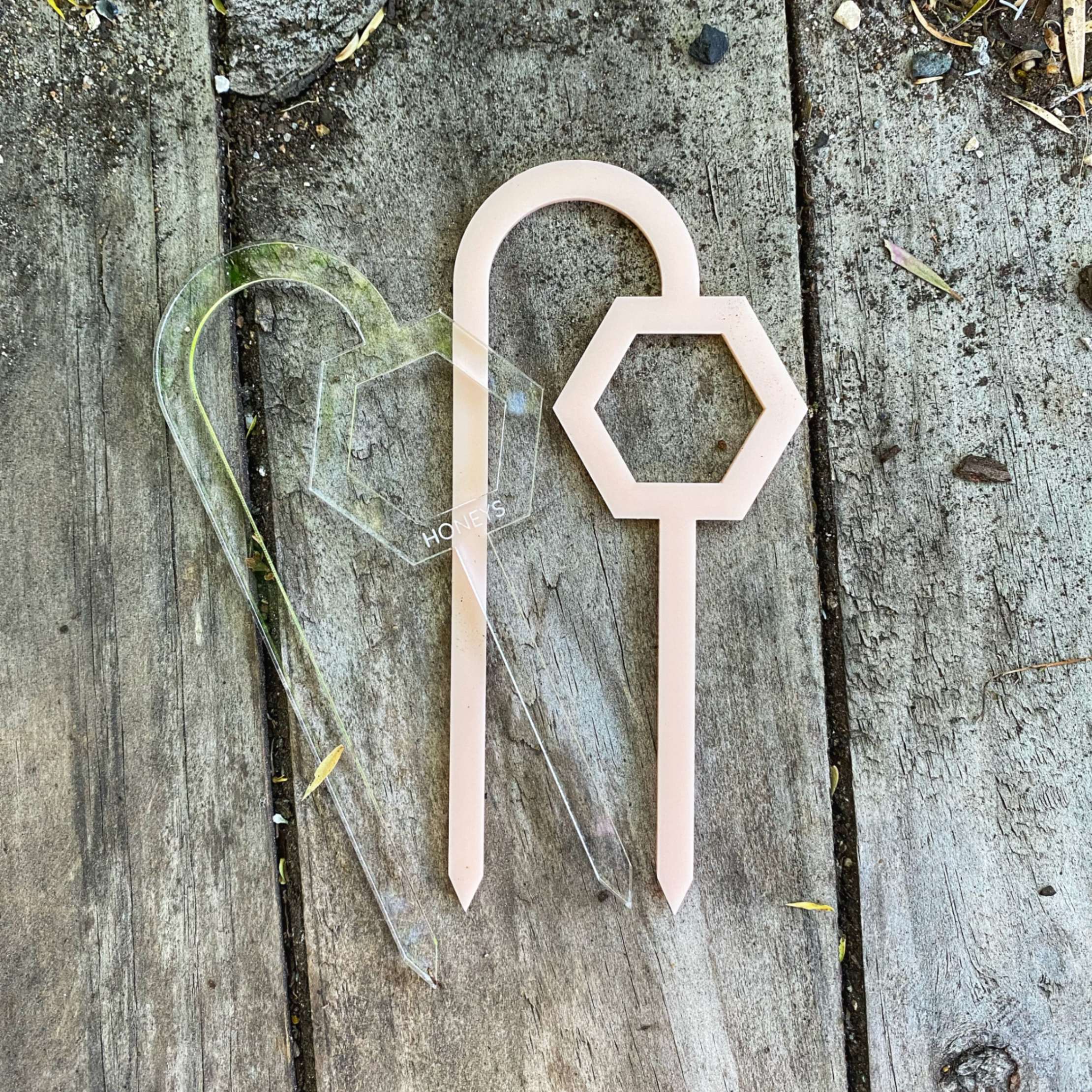Buzzy Bee Plant Propagation Trellis in assorted colours displayed together