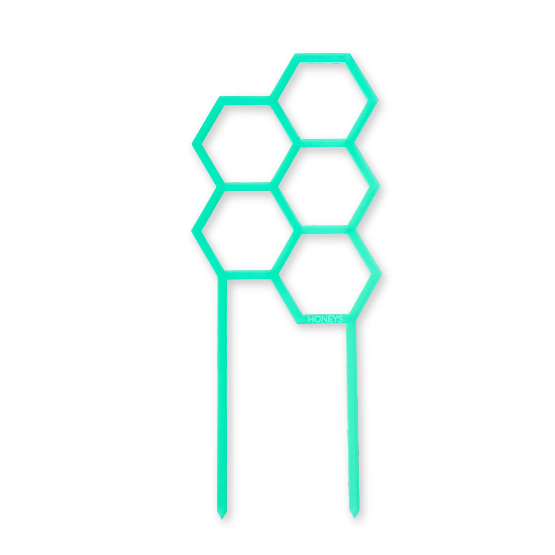 Hex Medium Sized Plant Climber in Frosted Peppermint Acrylic flat lay