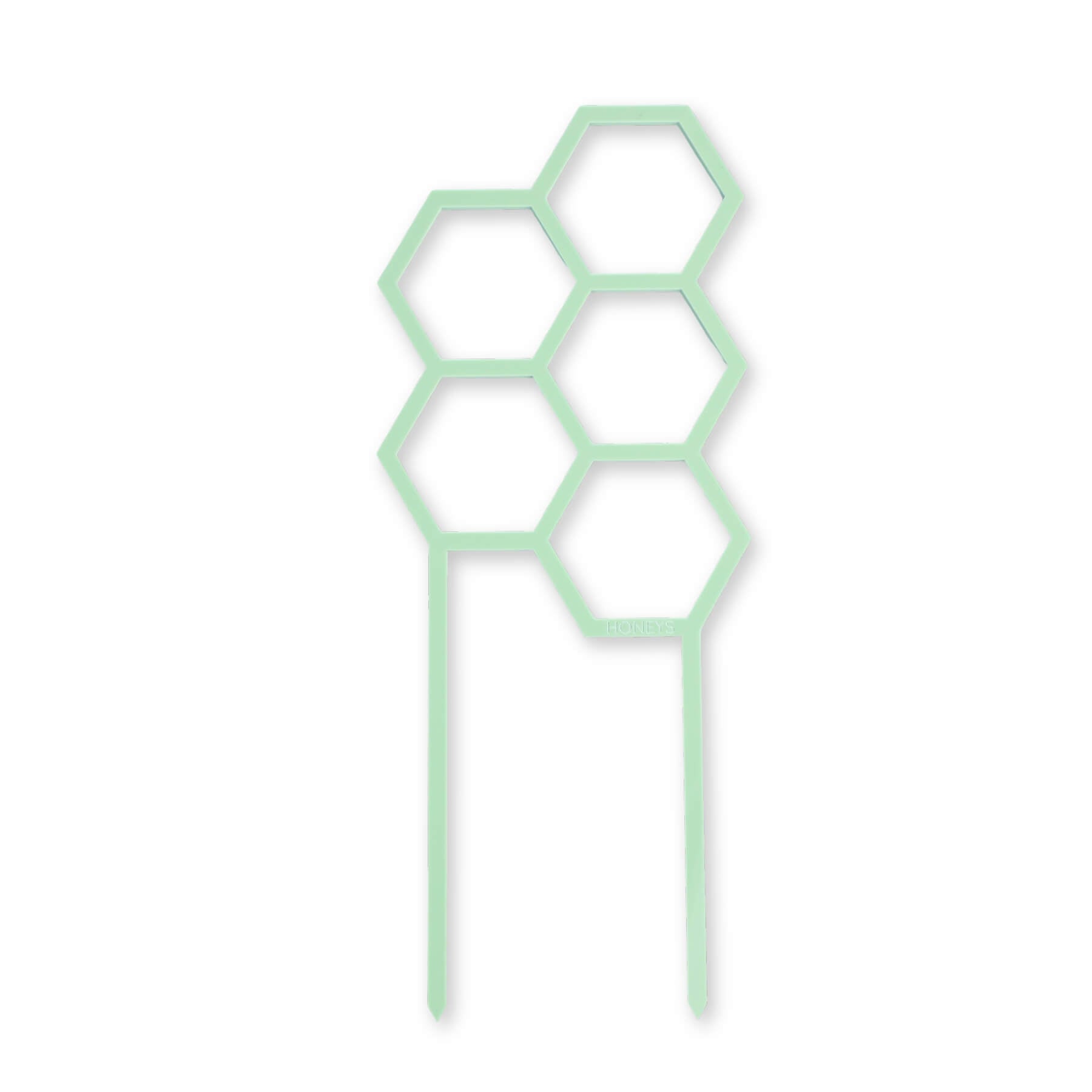 Hex Medium Sized Plant Climber in Mint Green Acrylic flat lay