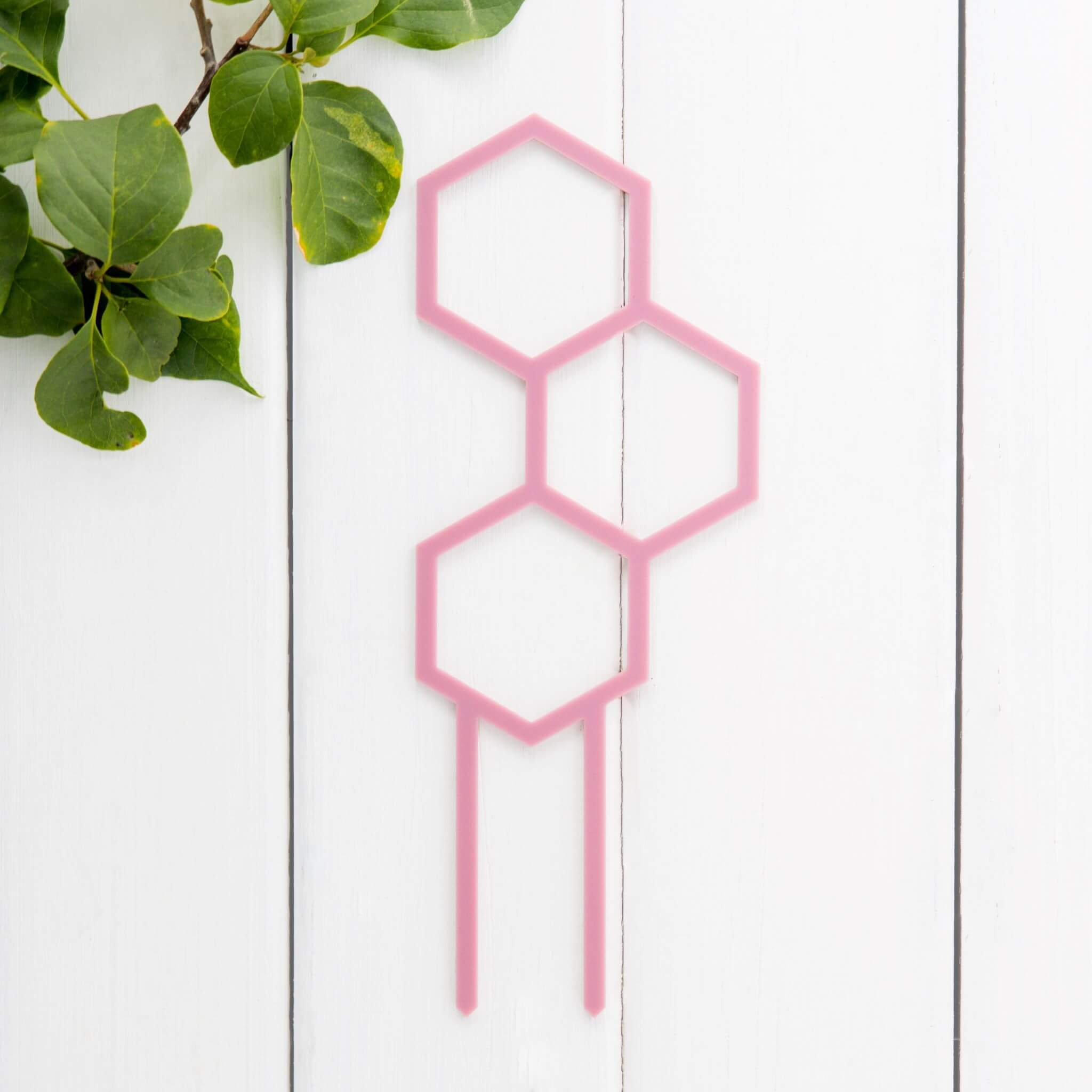 Mini Pollen Plant Propagation Trellis in Pastel Pink Acrylic flat lay