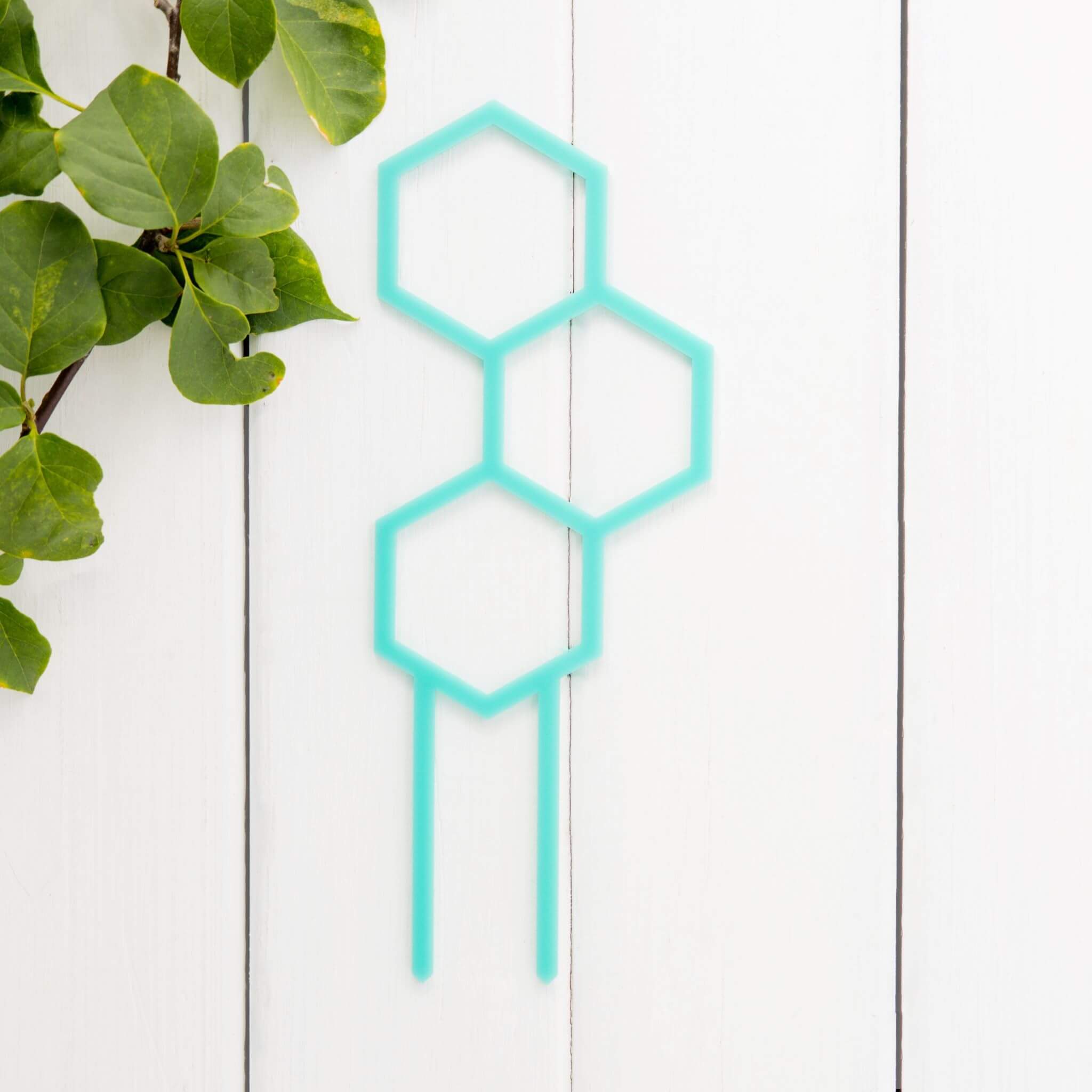 Mini Pollen Plant Propagation Trellis in Teal Acrylic flat lay