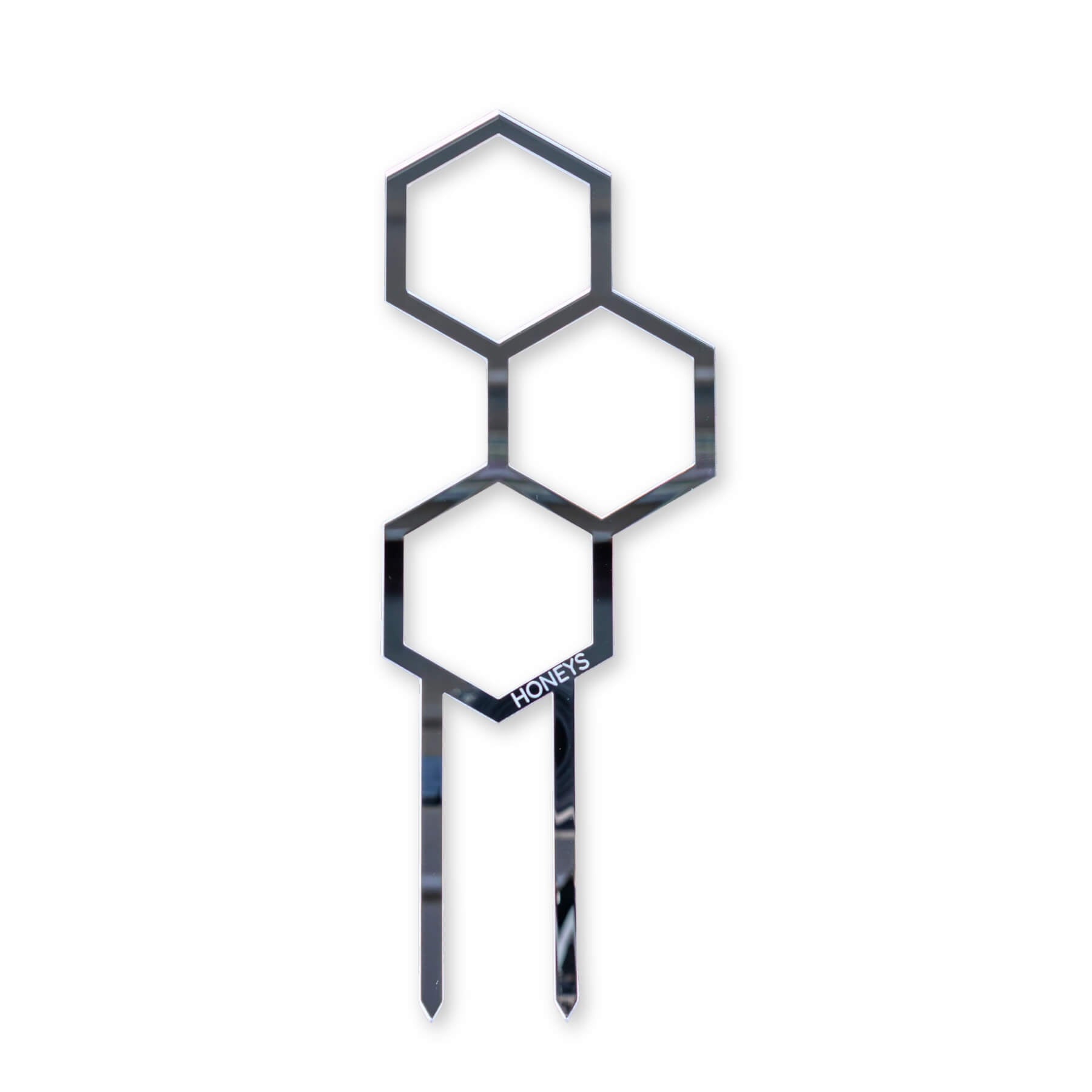 Mini Pollen Plant Propagation Trellis in Silver Mirror Acrylic flat lay