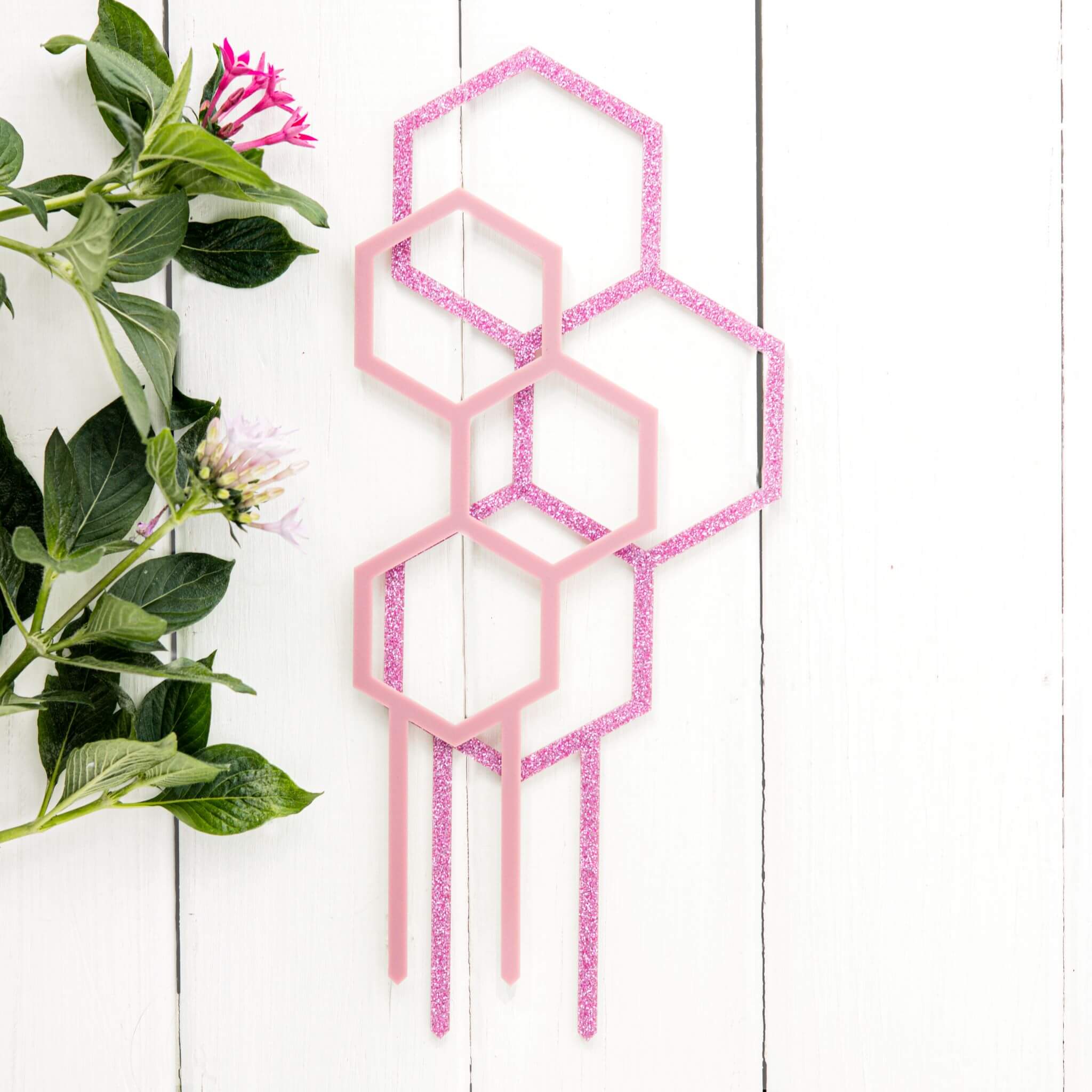 Pollen Gift Pack - Plant lover gift set, matching acrylic climbers for indoor plants