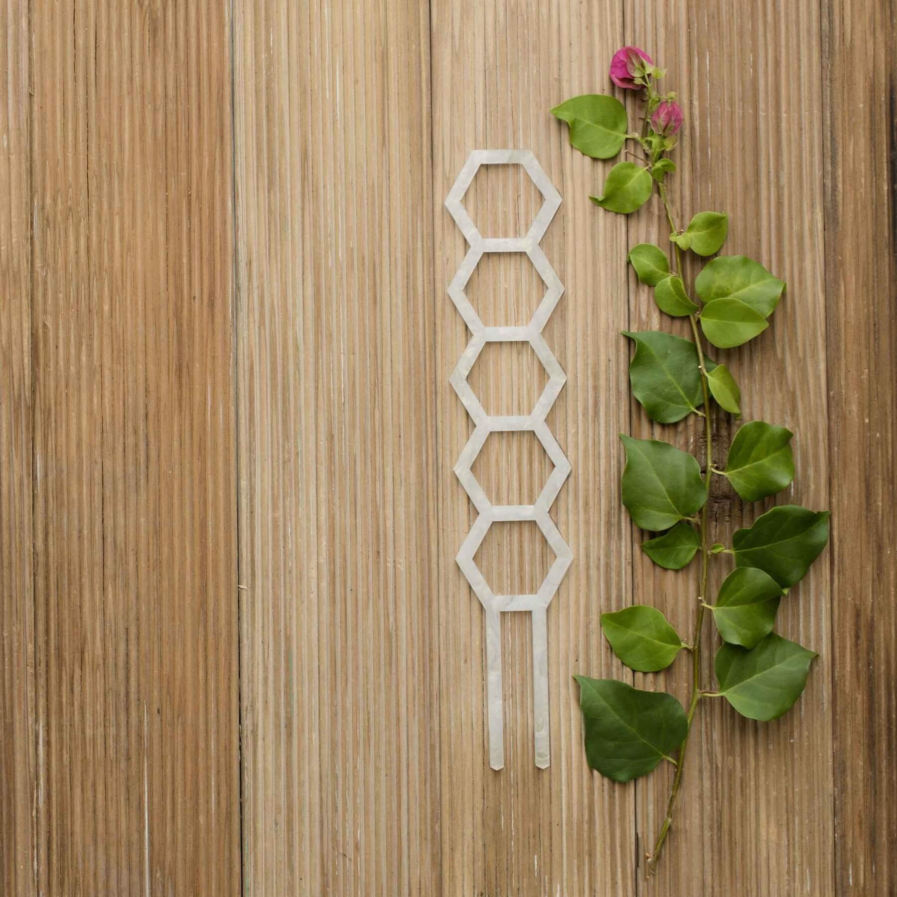 Hockings Climber – Minimalist Plant Support for Small to Medium Plants