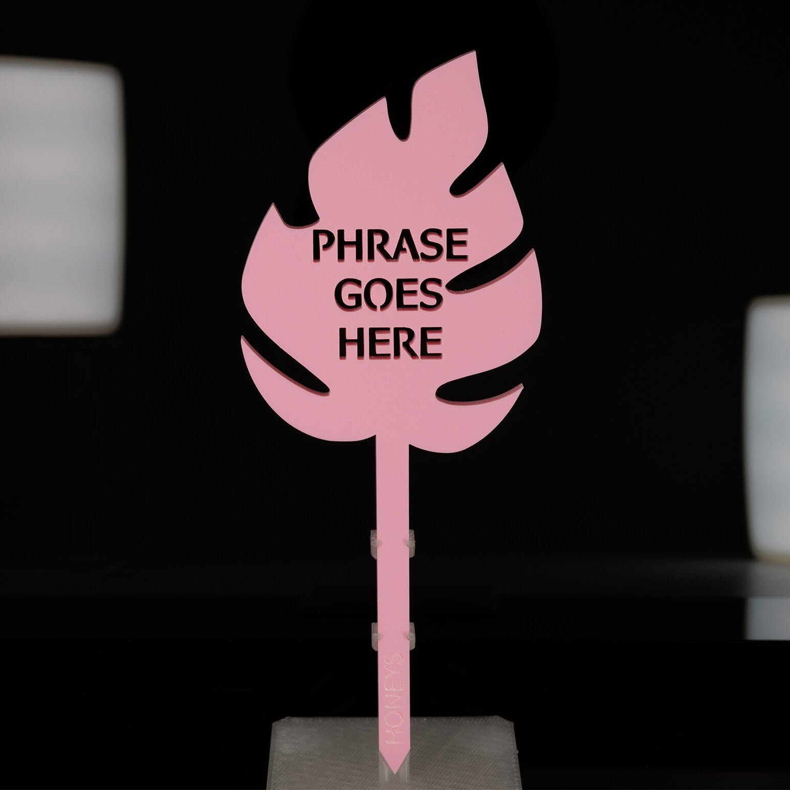 Plant Stake - Naughty By Nature Collection (Monstera Leaf)